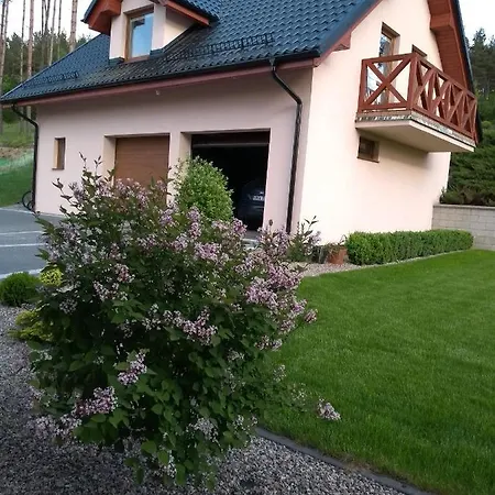 Nad Jeziorem Kaszuby Golubie